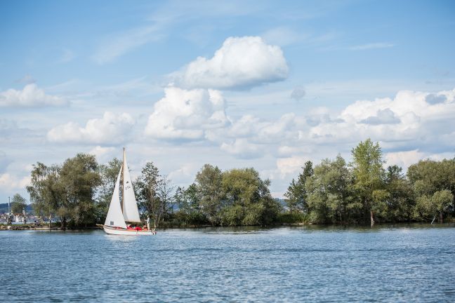 Hafenausfahrt mit Segelboot, Hard am Bodensee Hafenausfahrt mit Segelboot, Hard am Bodensee